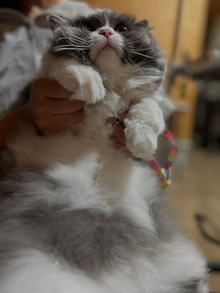 ブログ