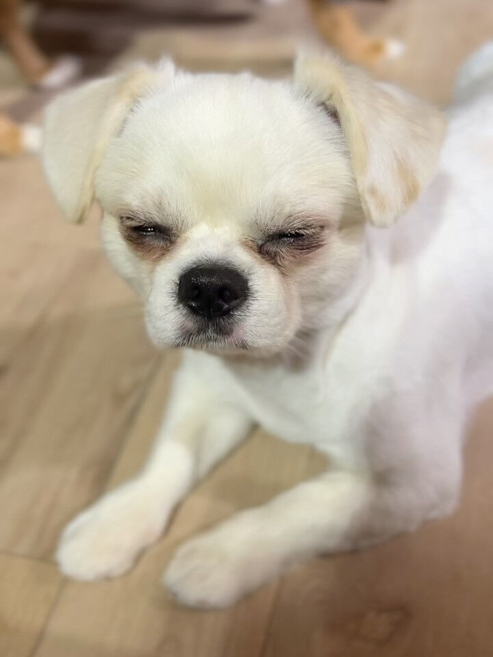 ブログ